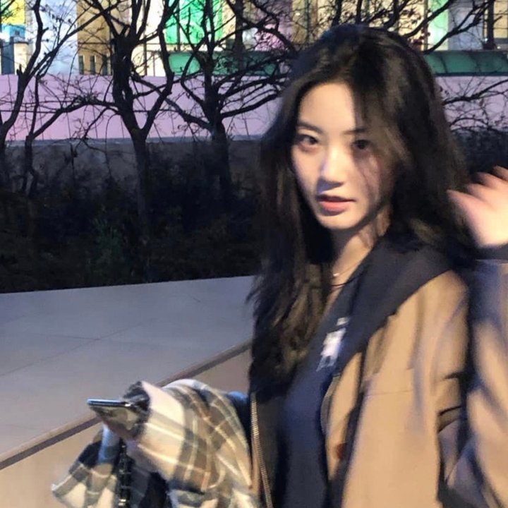 土狗的陆地头等舱